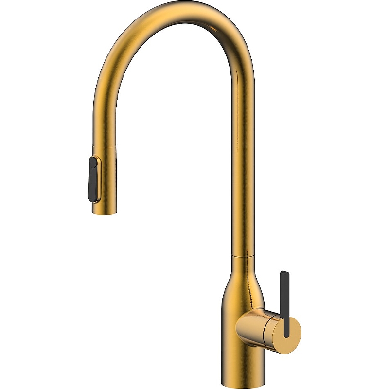Смеситель для кухни Paulmark Universal Un213880-BG (брашированное золото)