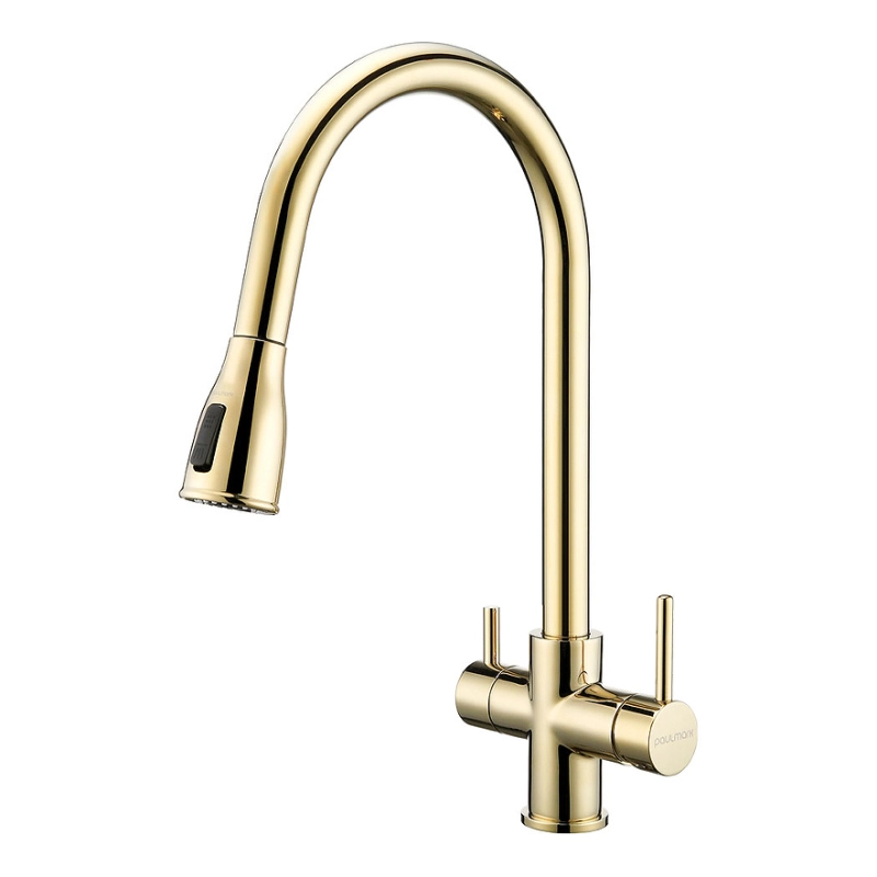 Смеситель для кухни Paulmark Lange La214212-LG (светлое золото)