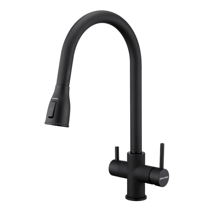 Смеситель для кухни Paulmark Lange La214212-BLM (чёрный матовый)