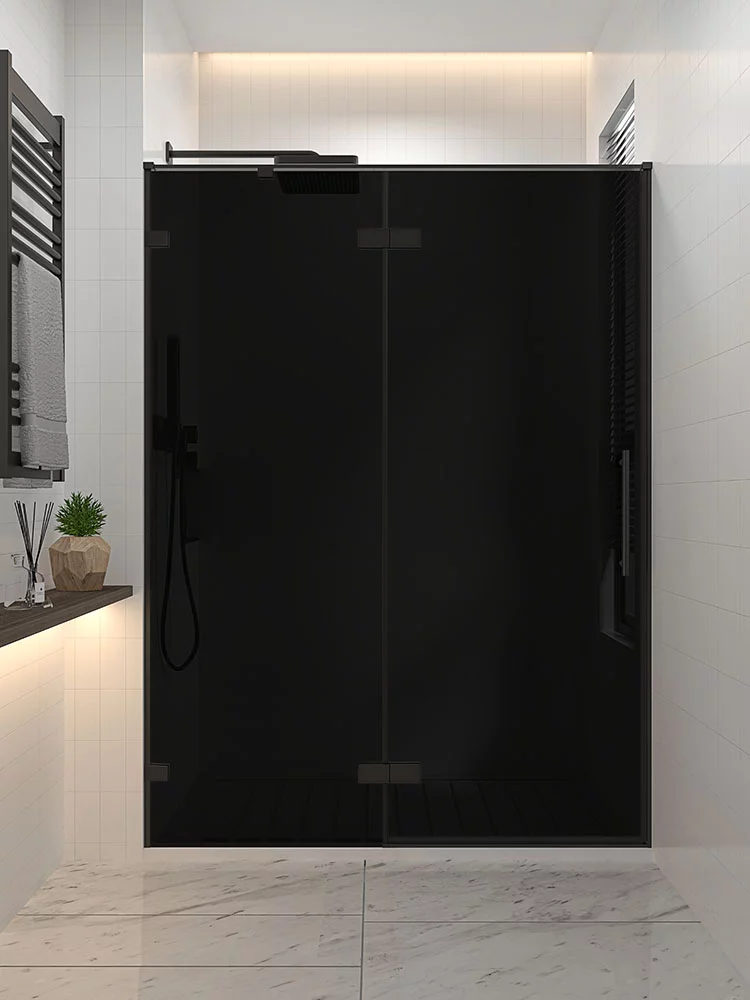 Душевая дверь Veconi Alassio BB AL-140-11-BB-C4 1400*2000 мм (чёрный матовый/чёрное)