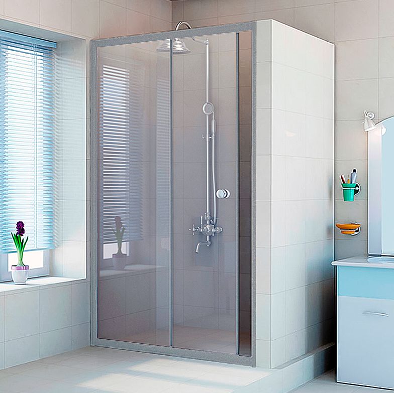 Душевая дверь Radomir Вита 1-63-2-0-0-1120 1600*2000 мм (хром матовый/прозрачное)