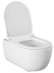 Подвесной унитаз Allen Brau Priority 4.31001.20 безободковый (белый)