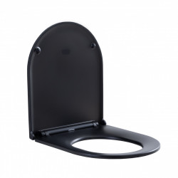Крышка-сиденье для унитаза Aquanet Lake-WB smartfix 316466 (черный матовый) soft close