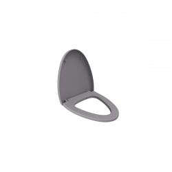 Крышка-сиденье для унитаза Bocchi Etna A0325-006 (серый матовый) soft close